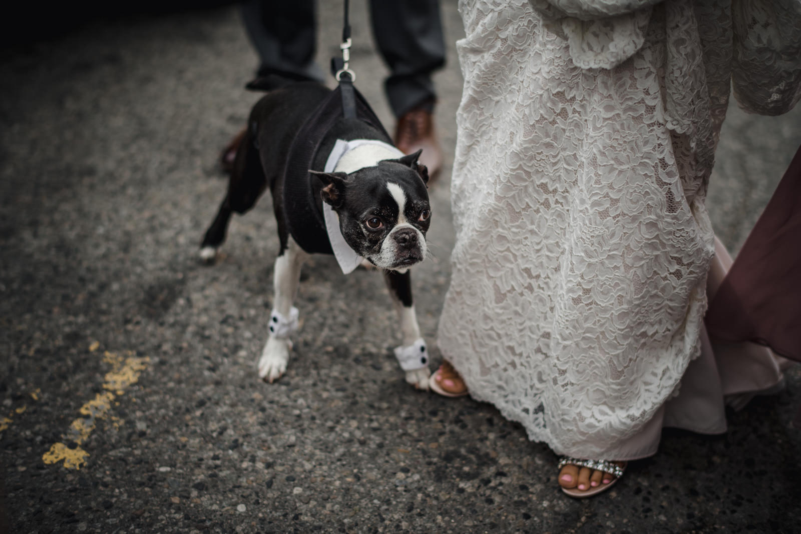 The Leddas Wedding Photography - Nina & Duncan: Kelowna Wedding